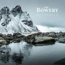 Cover of Reykjavik