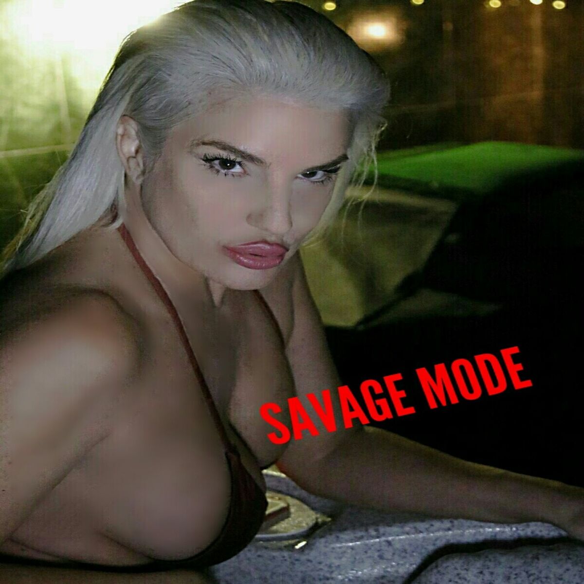 Album cover of Savage Mode