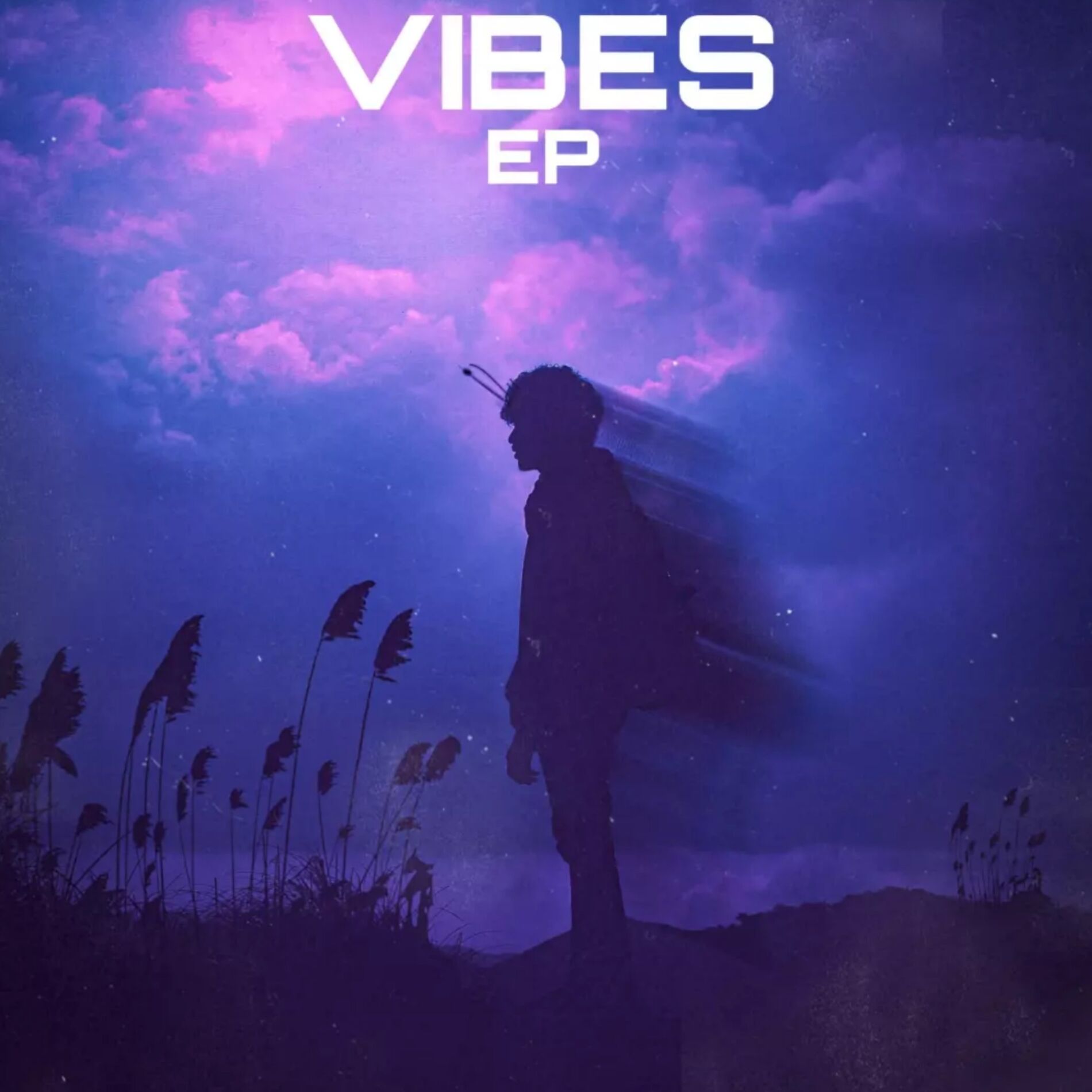 Album cover of Vibes