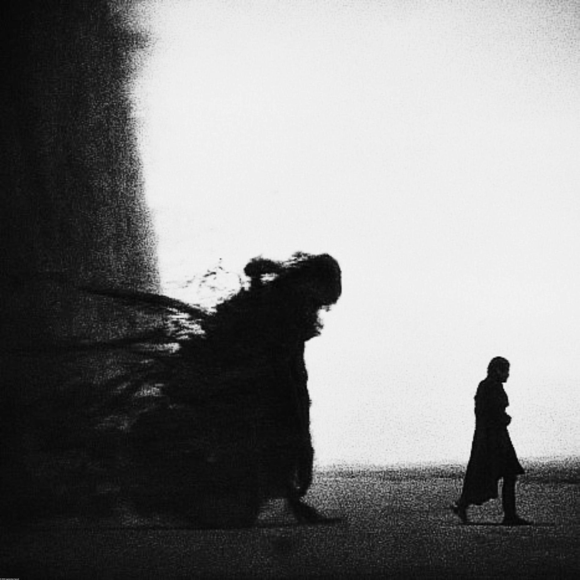 Album cover of Somnus