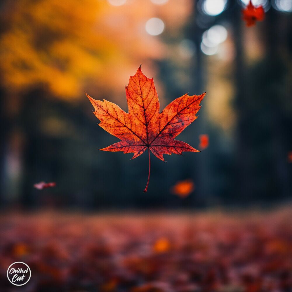 Picture of Orange