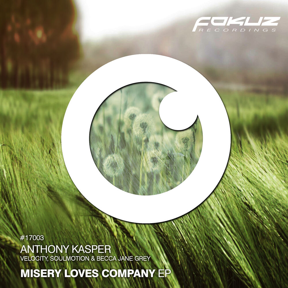 Picture of Misery Loves Company EP