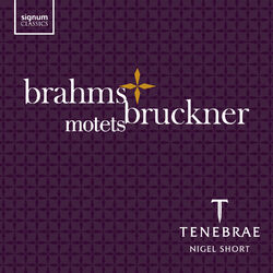 Cover of Brahms & Bruckner: Motets