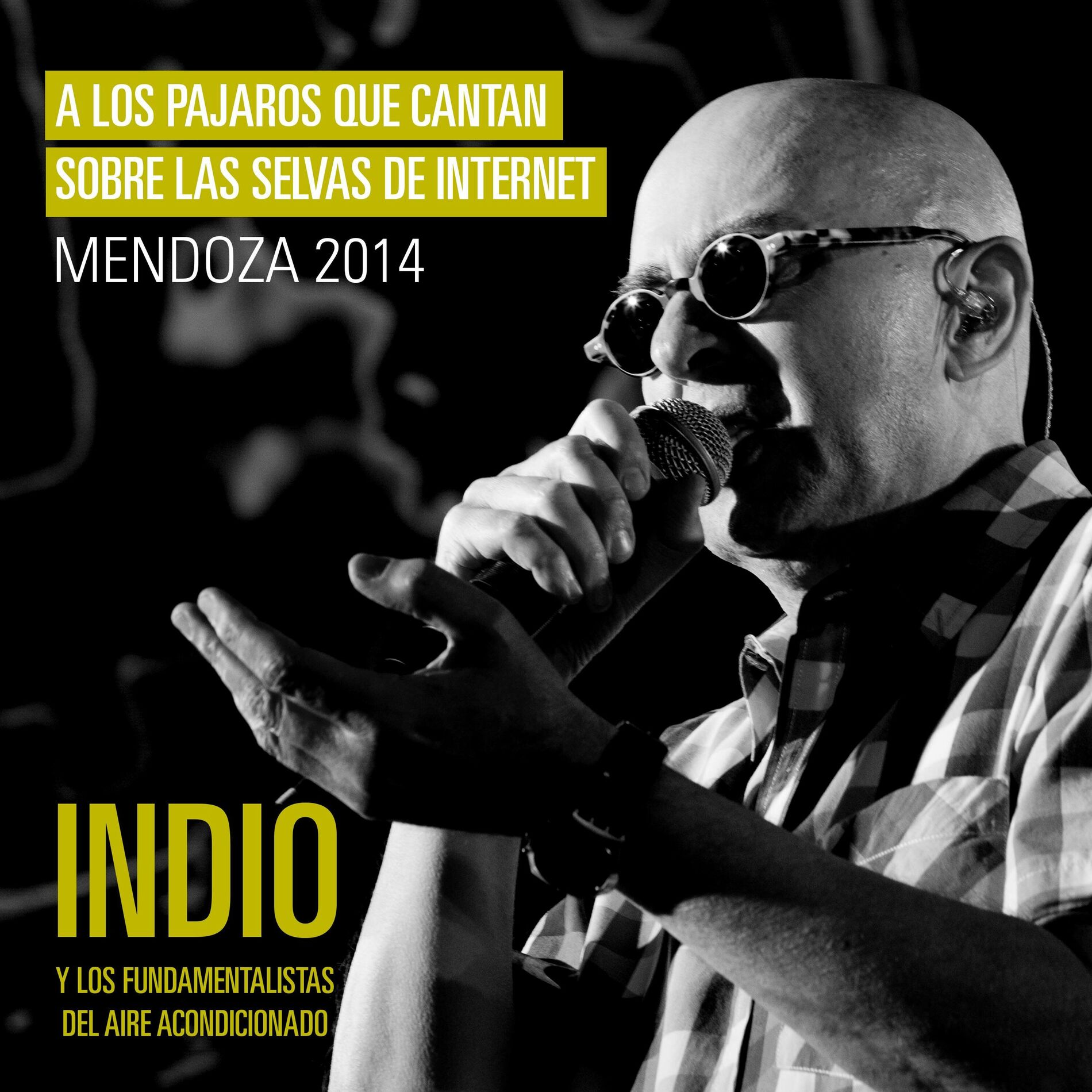 Album cover of A los Pájaros Que Cantan Sobre las Selvas de Internet (En Vivo, Sábado 13 de diciembre de 2014 / Mendoza)