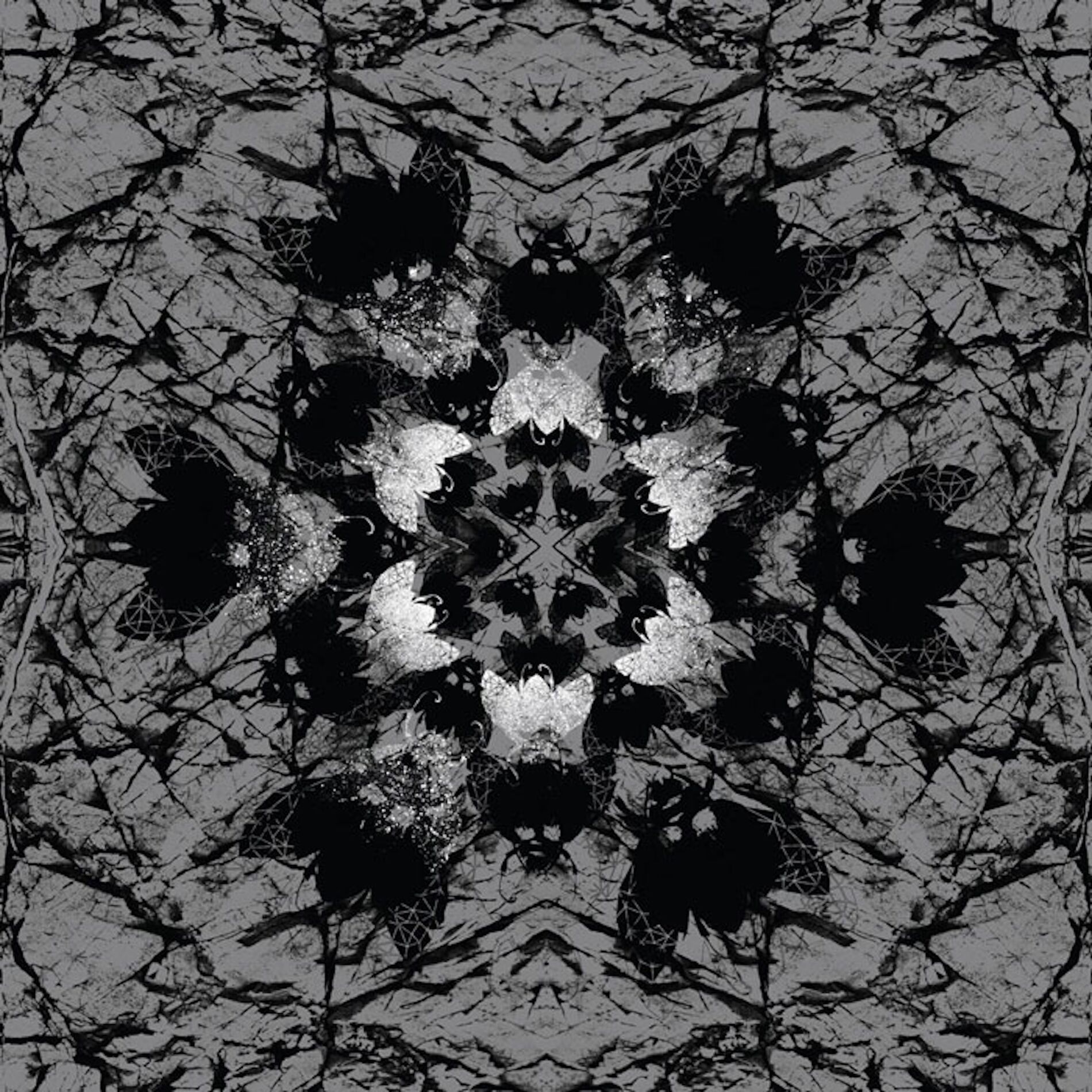 Album cover of Fear of Nothing