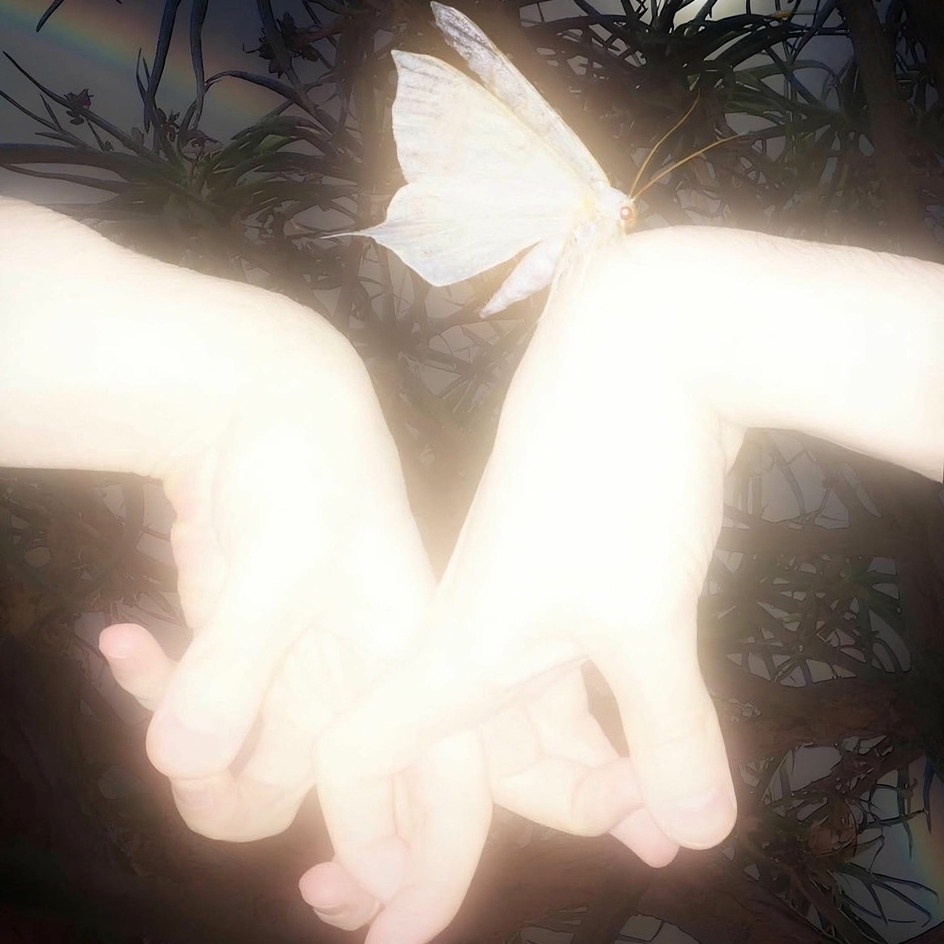 Album cover of a new kind of love (dream1x remix)