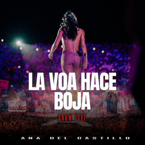 Portada de La Voa Hacé Boja (Show Live)