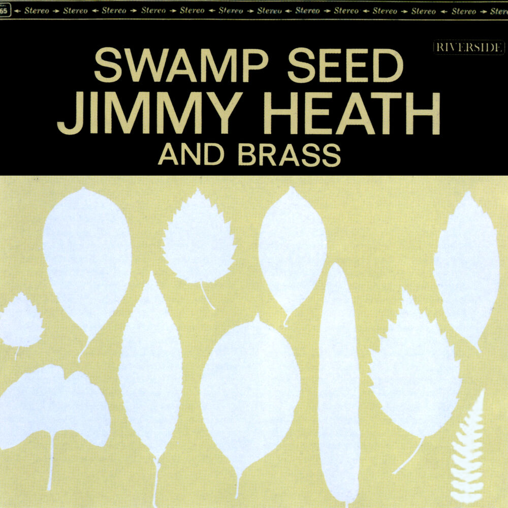 Picture of Swamp Seed