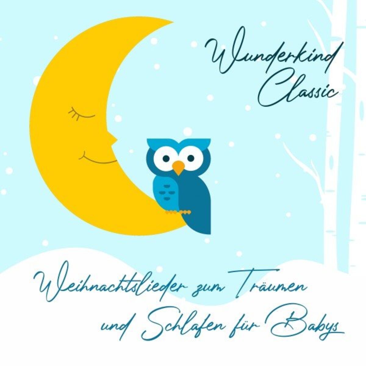 Album cover of Weihnachtslieder zum Träumen und Schlafen für Babys