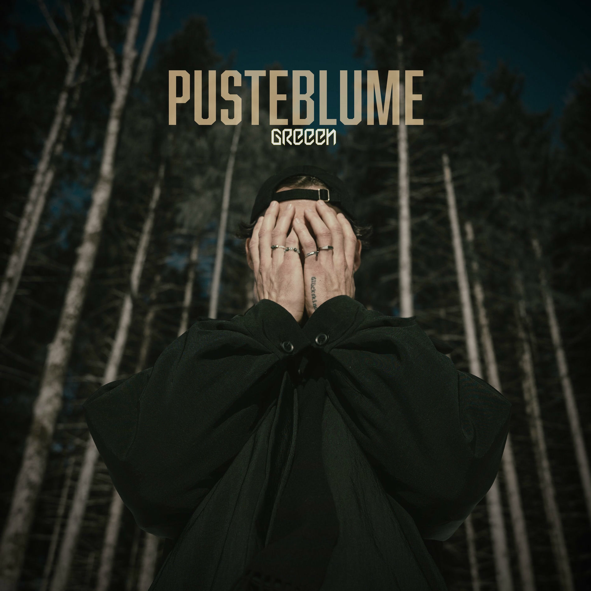 Album cover of Pusteblume