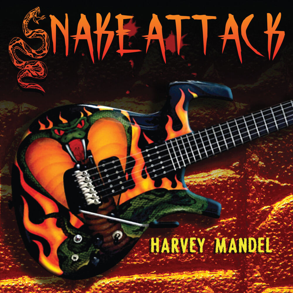 Picture of Snake Attack