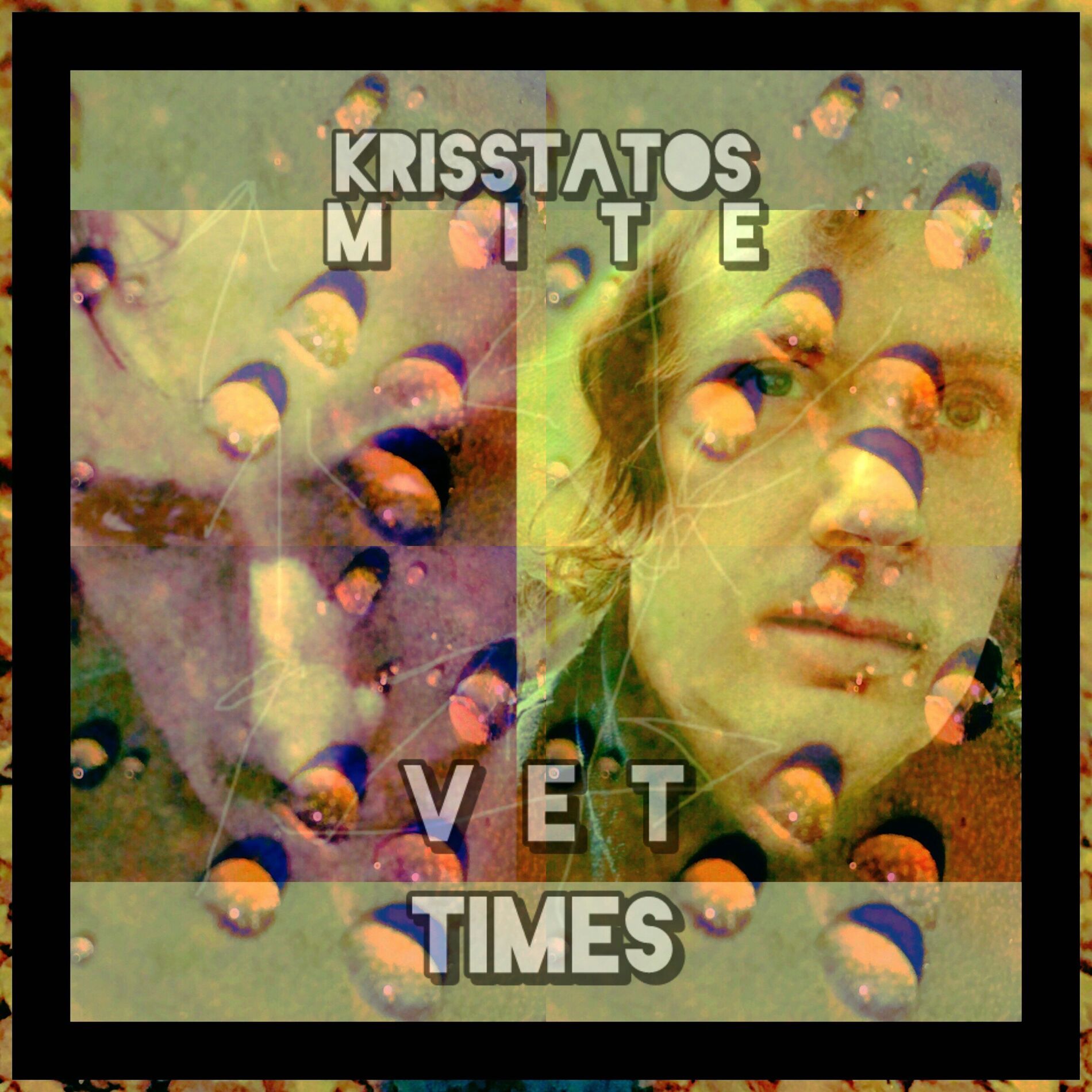 Album cover of Vet Times