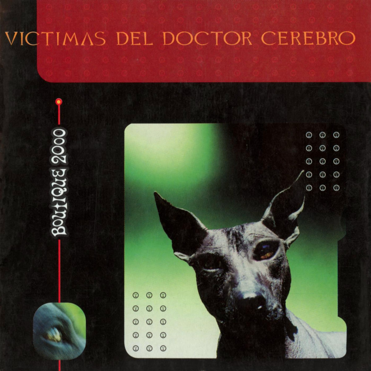 Album cover of Viejo