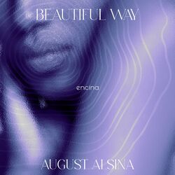 Cover of Beautiful Way