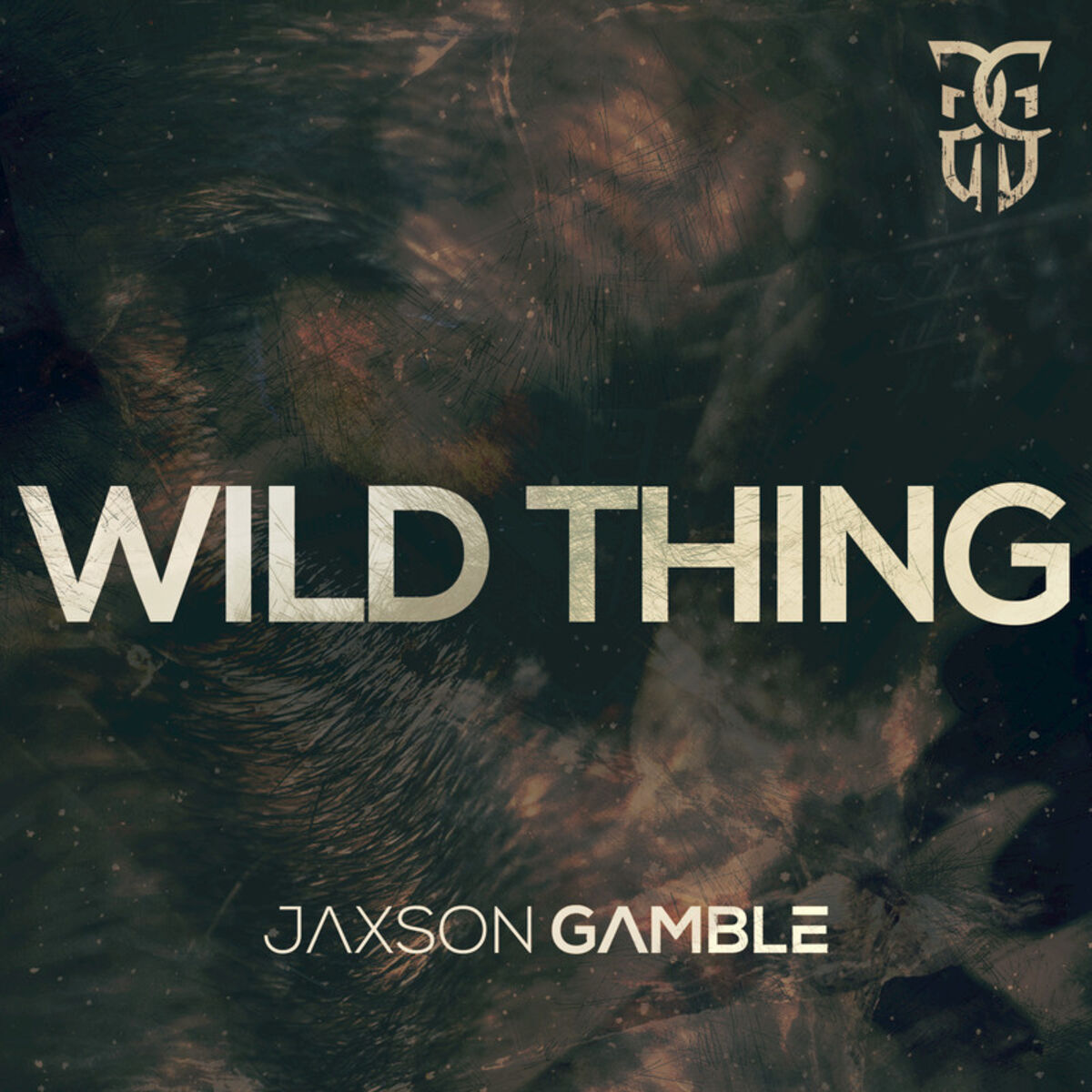 Album cover of Wild Thing