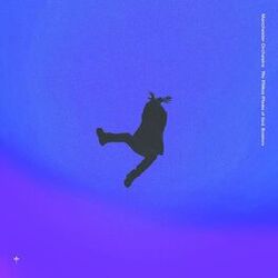 Cover of The Million Masks Of God: The Remixes