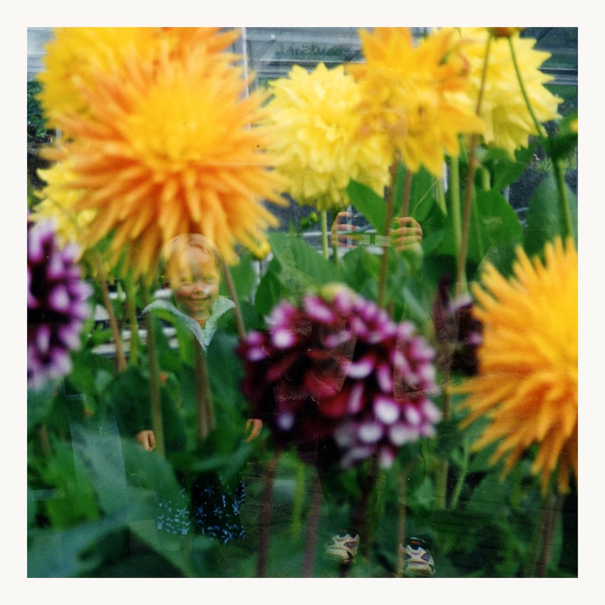 Album cover of Let Go