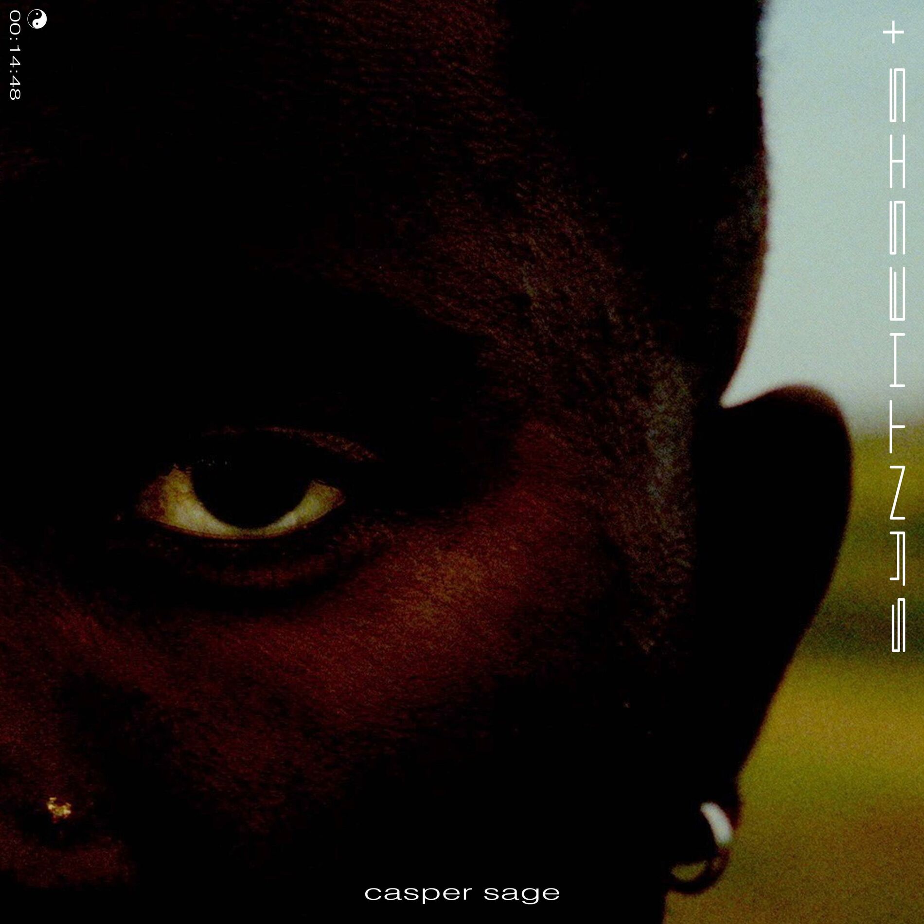 Album cover of Synthesis+
