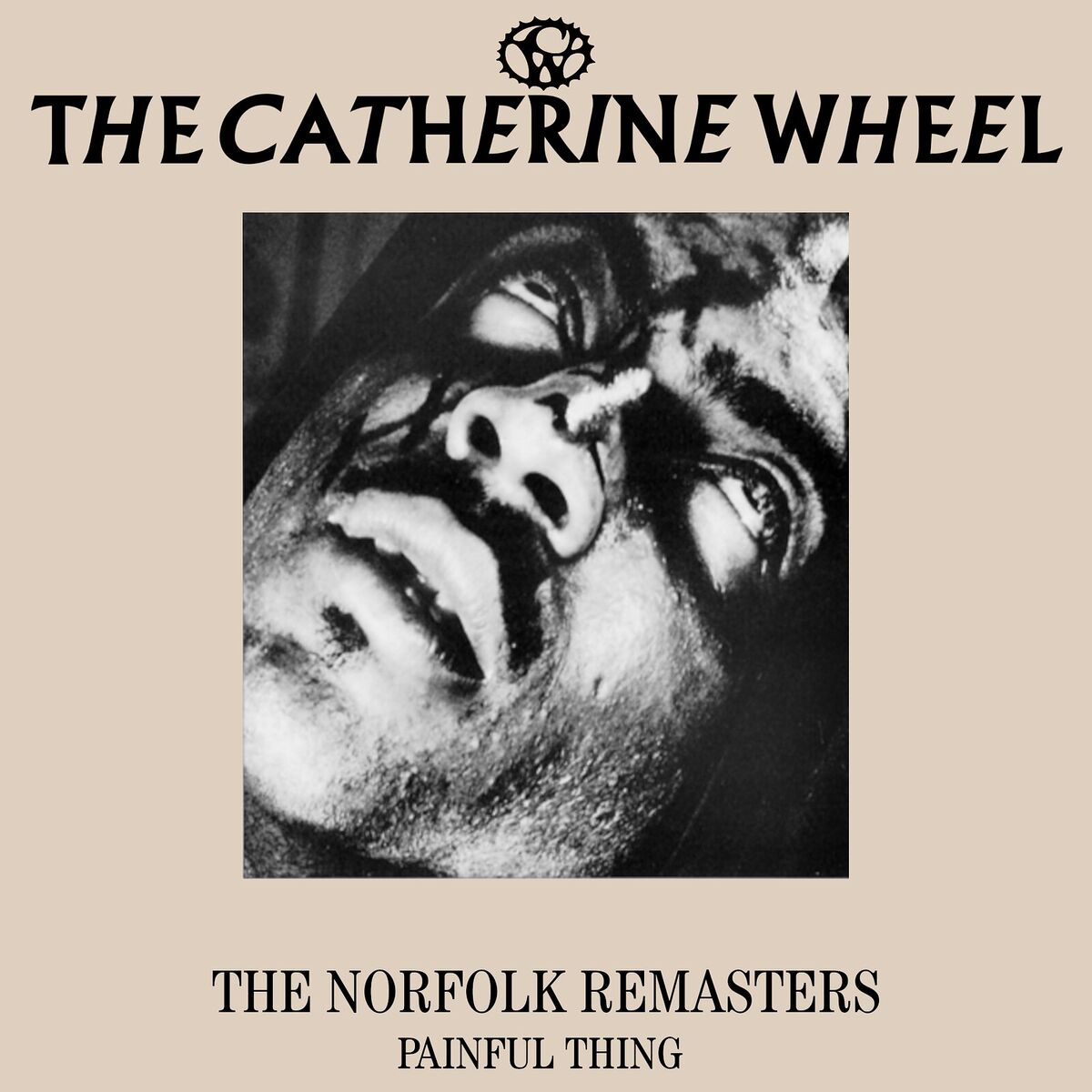 Album cover of The Norfolk Remasters - Painful Thing