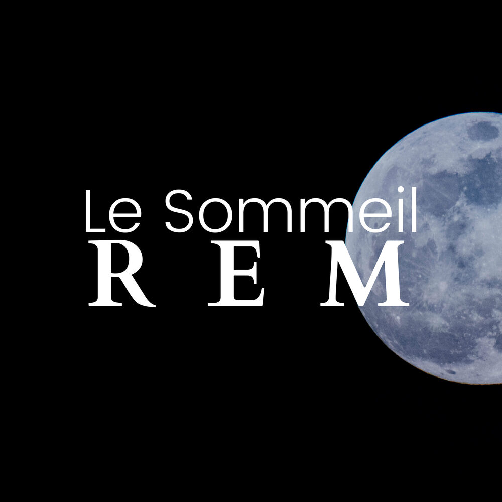 Picture of Le Sommeil REM - Musique Extrêmement Relaxante pour une Bonne Nuit