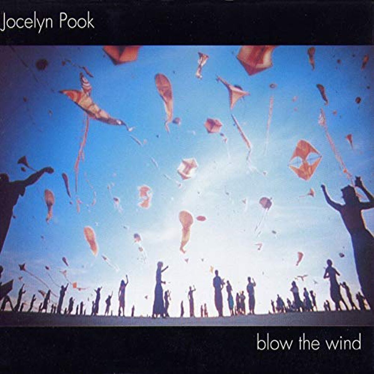 Album cover of Blow The Wind