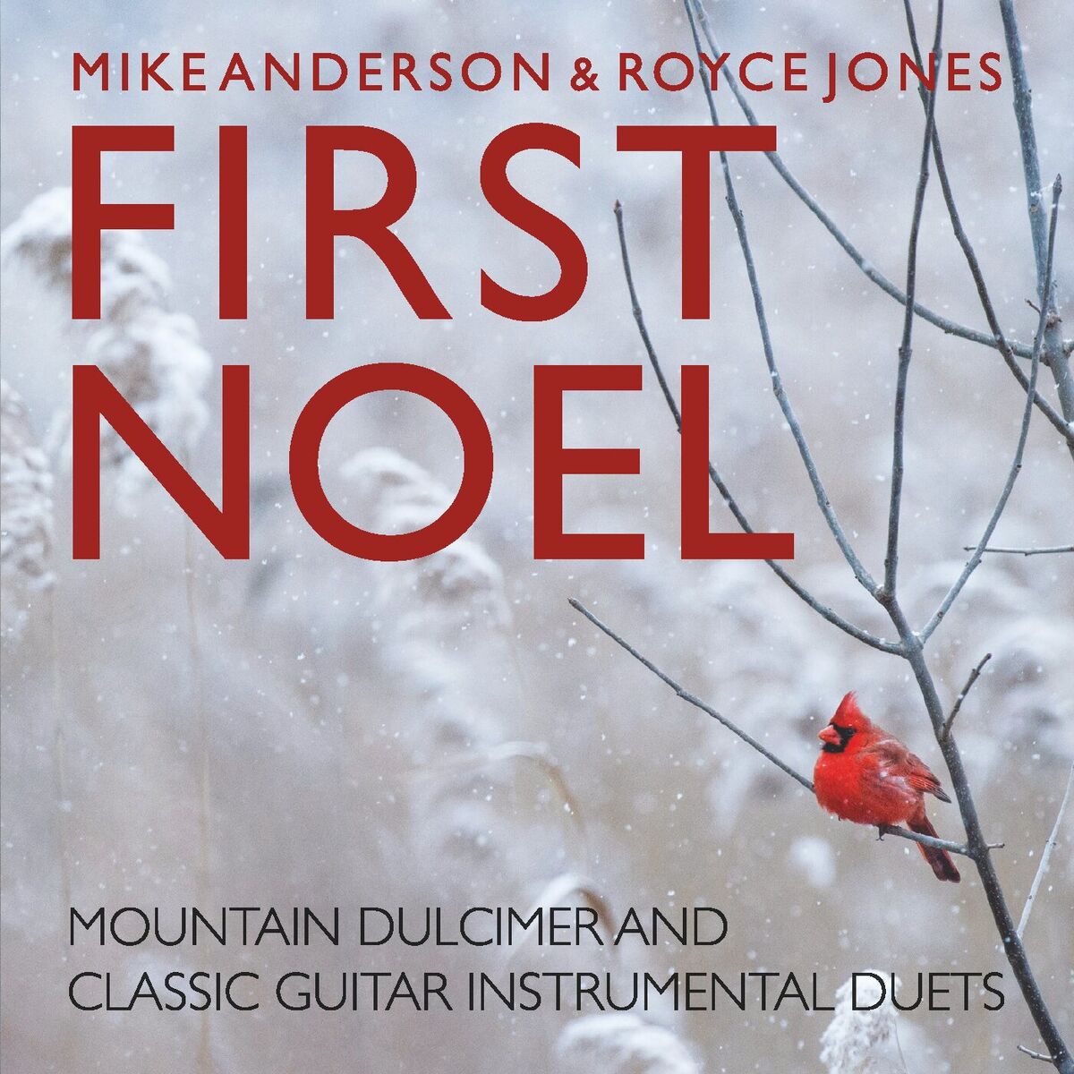 Album cover of First Noel