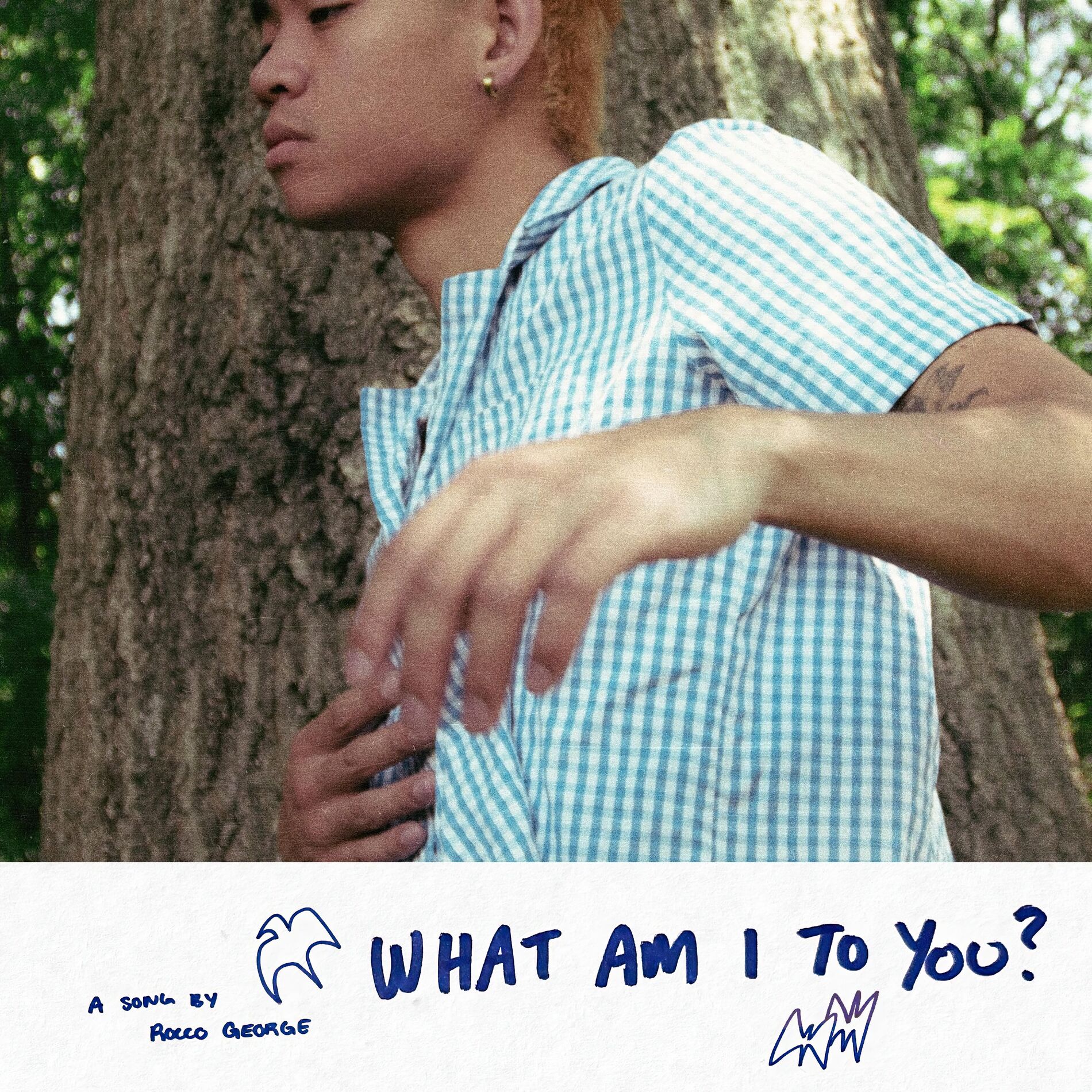 Album cover of what am i to you?