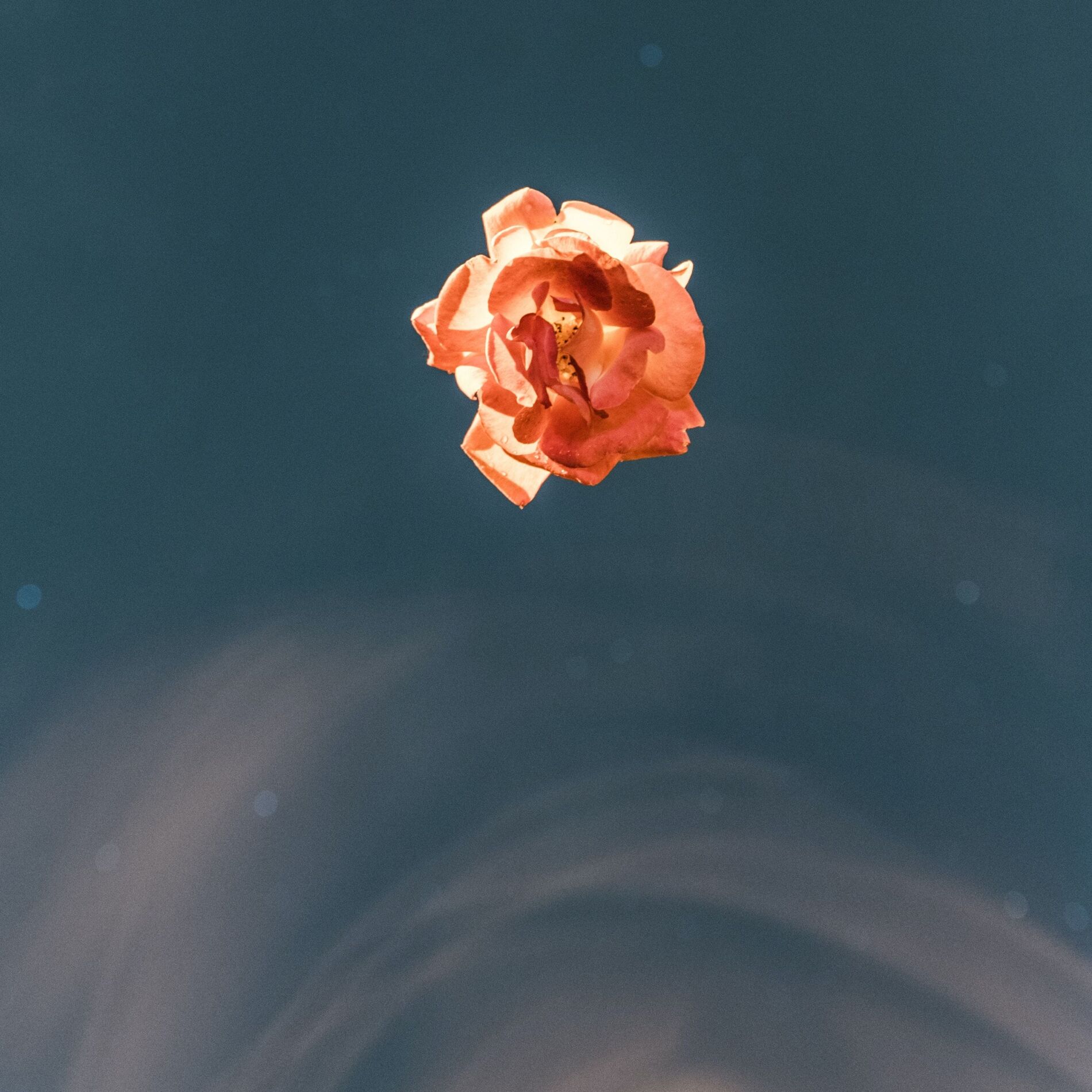 Album cover of Everytime