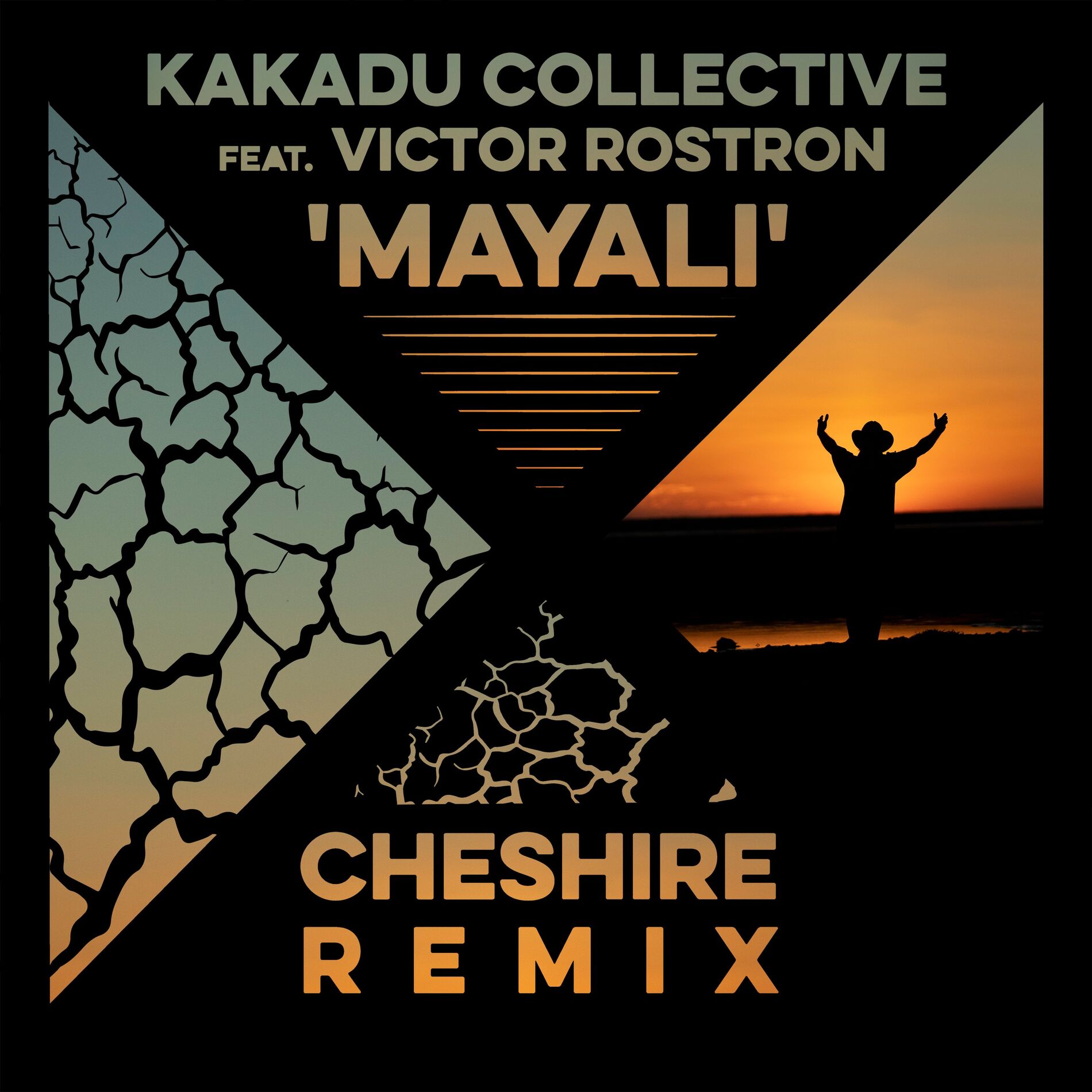 Album cover of Mayali (Cheshire Remix)