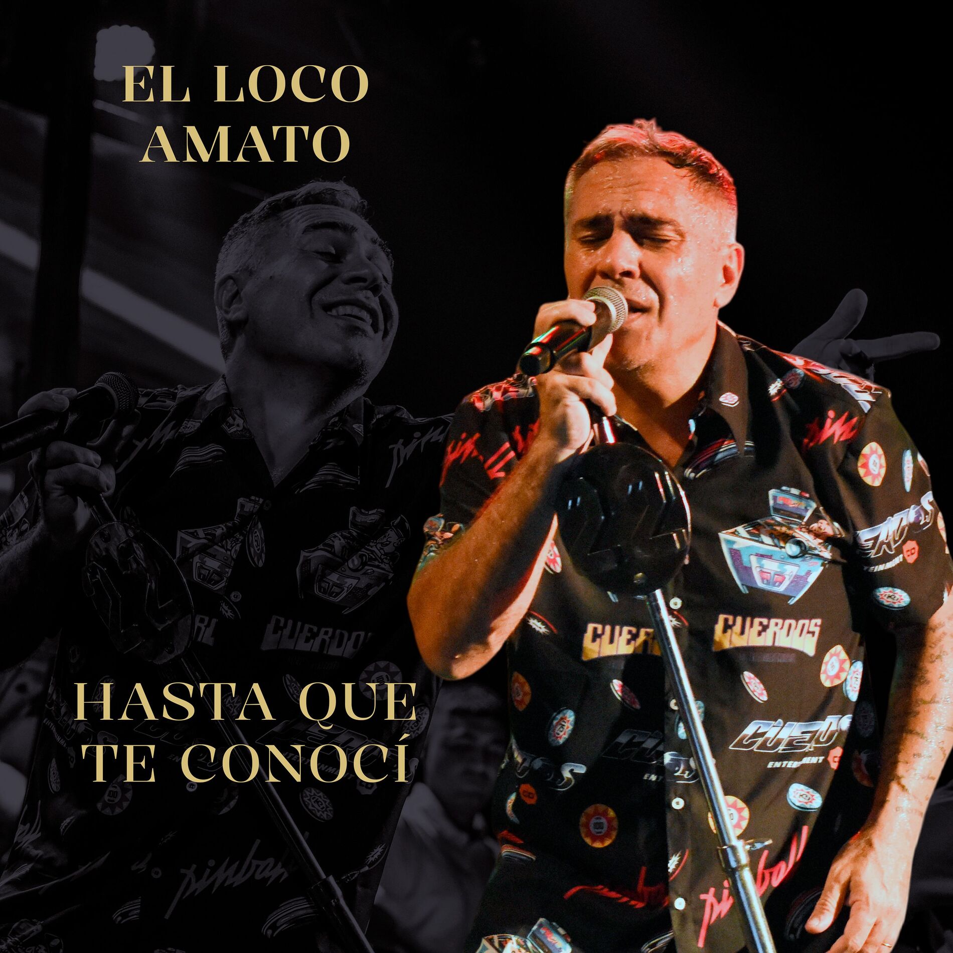 Album cover of Hasta que te conocí