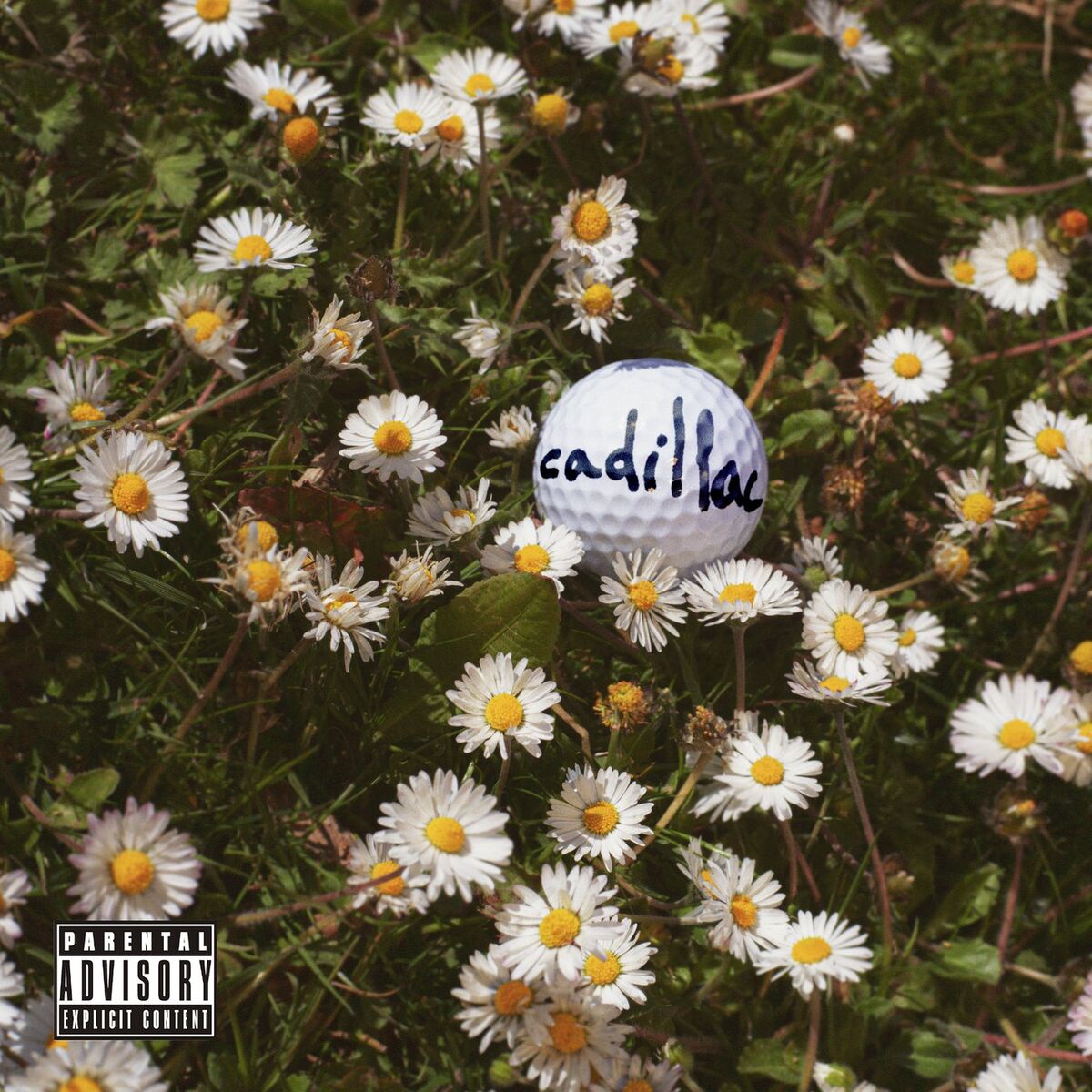 Album cover of cadillac
