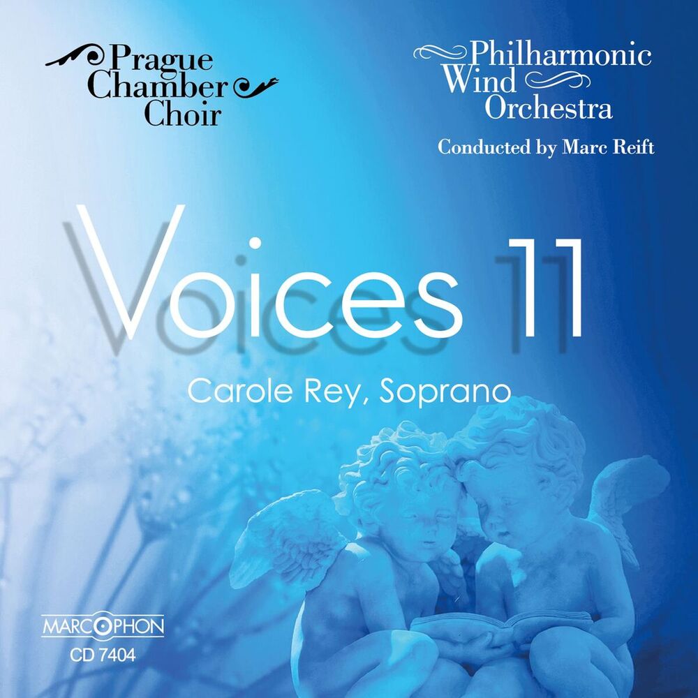 Picture of Voices 11