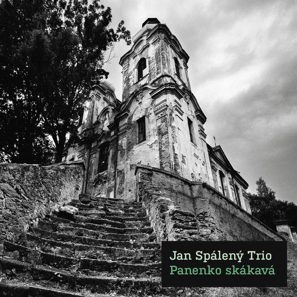 Picture of Panenko skákavá
