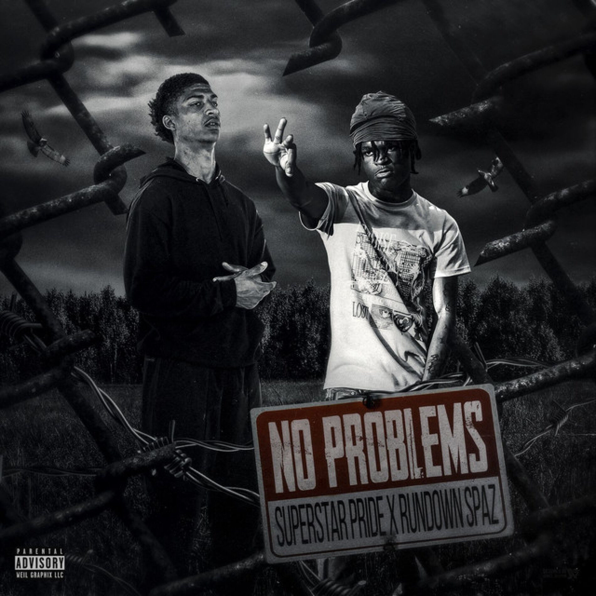 Album cover of No Problems