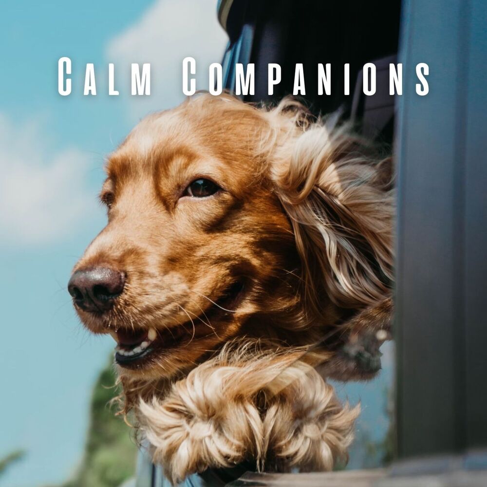 Picture of Calm Companions: Ambient Music for Pets