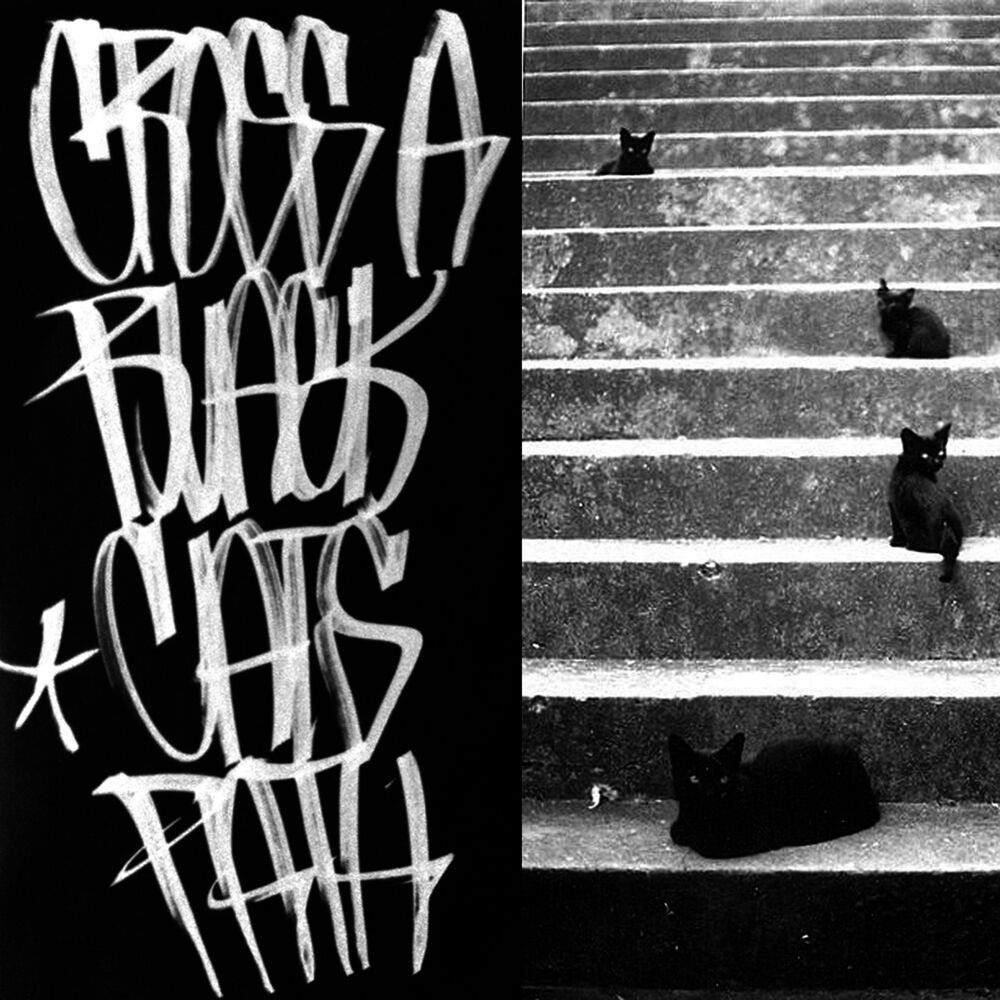 Picture of Cross a Black Cat's Path