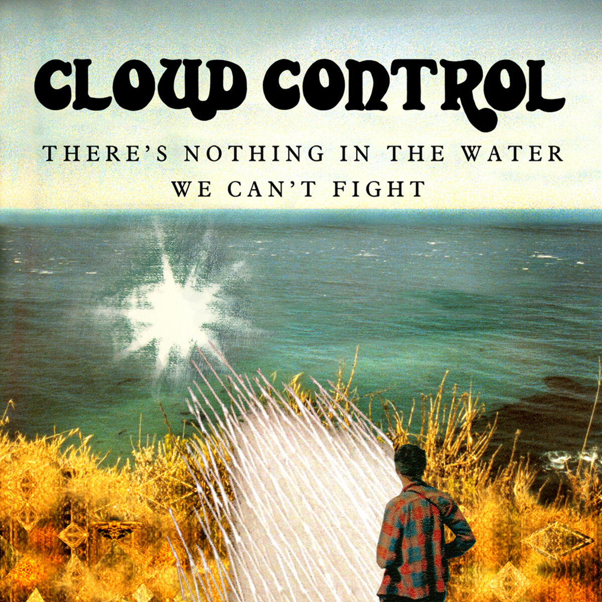 Album cover of There's Nothing in the Water We Can't Fight
