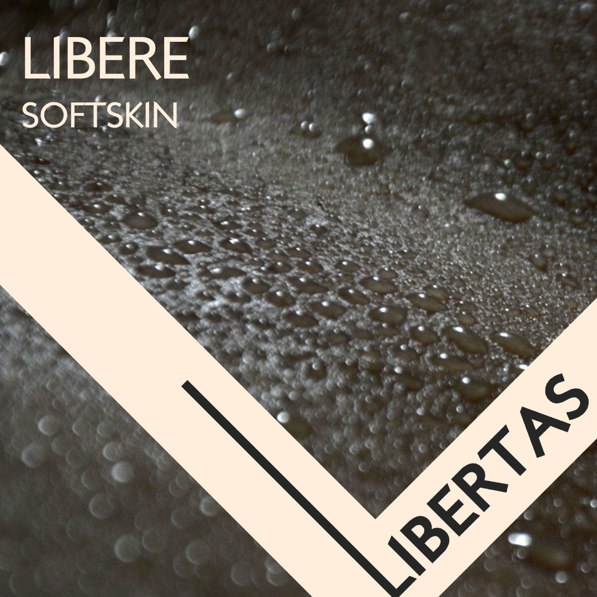 Album cover of Softskin