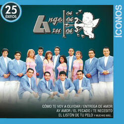 Cover of Íconos 25 Éxitos