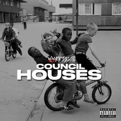 Cover of Council Houses