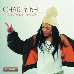Cover of T'as rien compris