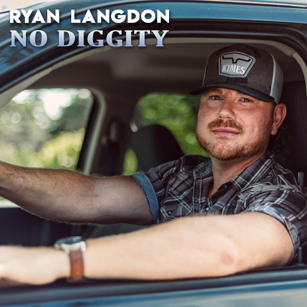 Album cover of No Diggity