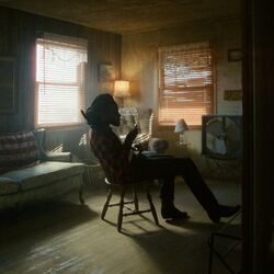 Cover of Anabelle