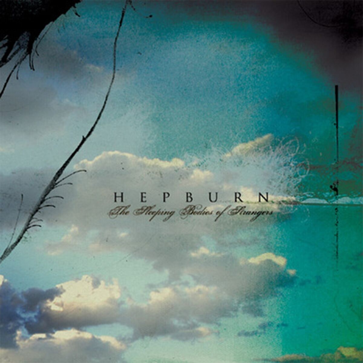 Album cover of The Sleeping Bodies of Strangers