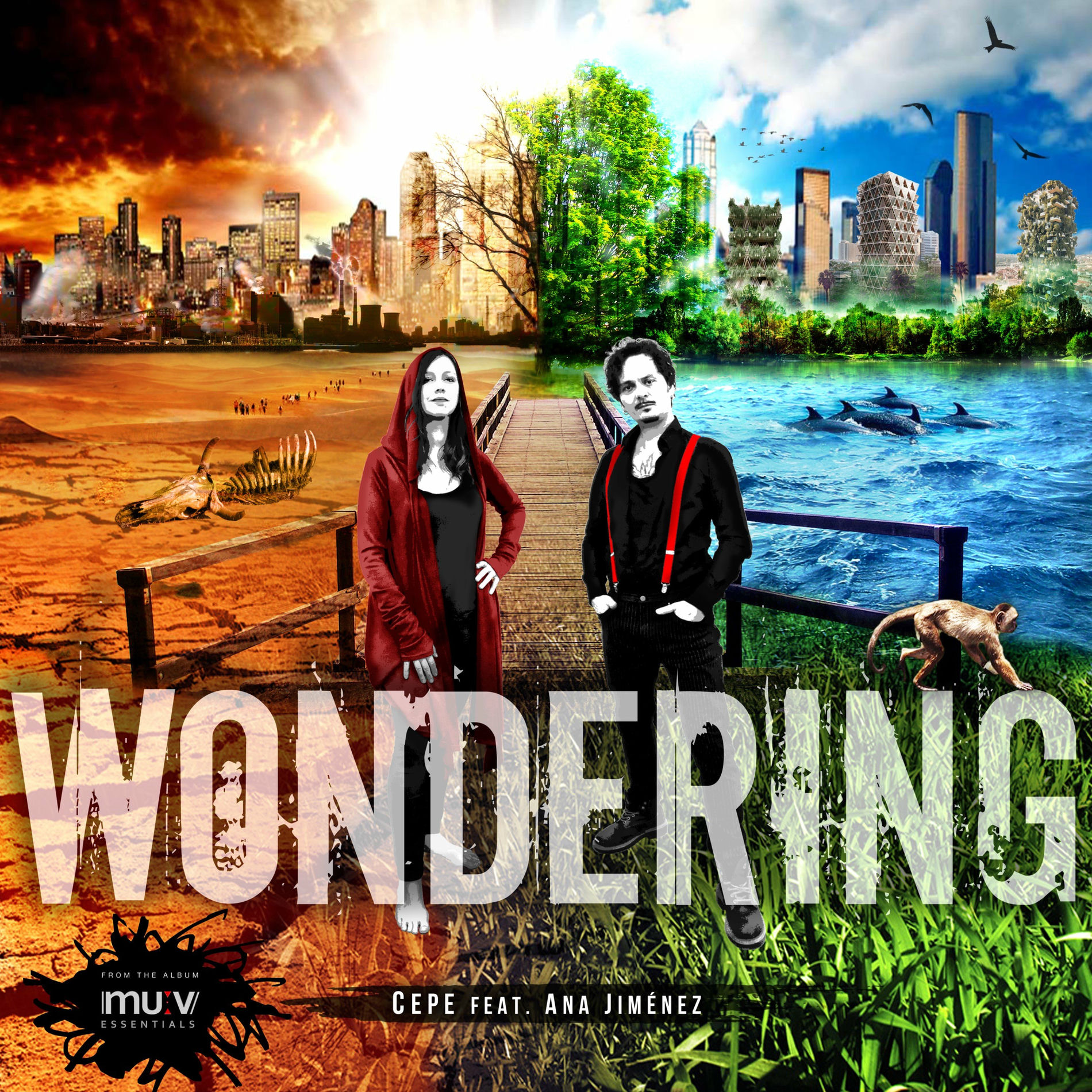 Album cover of Wondering (Radio Edit)