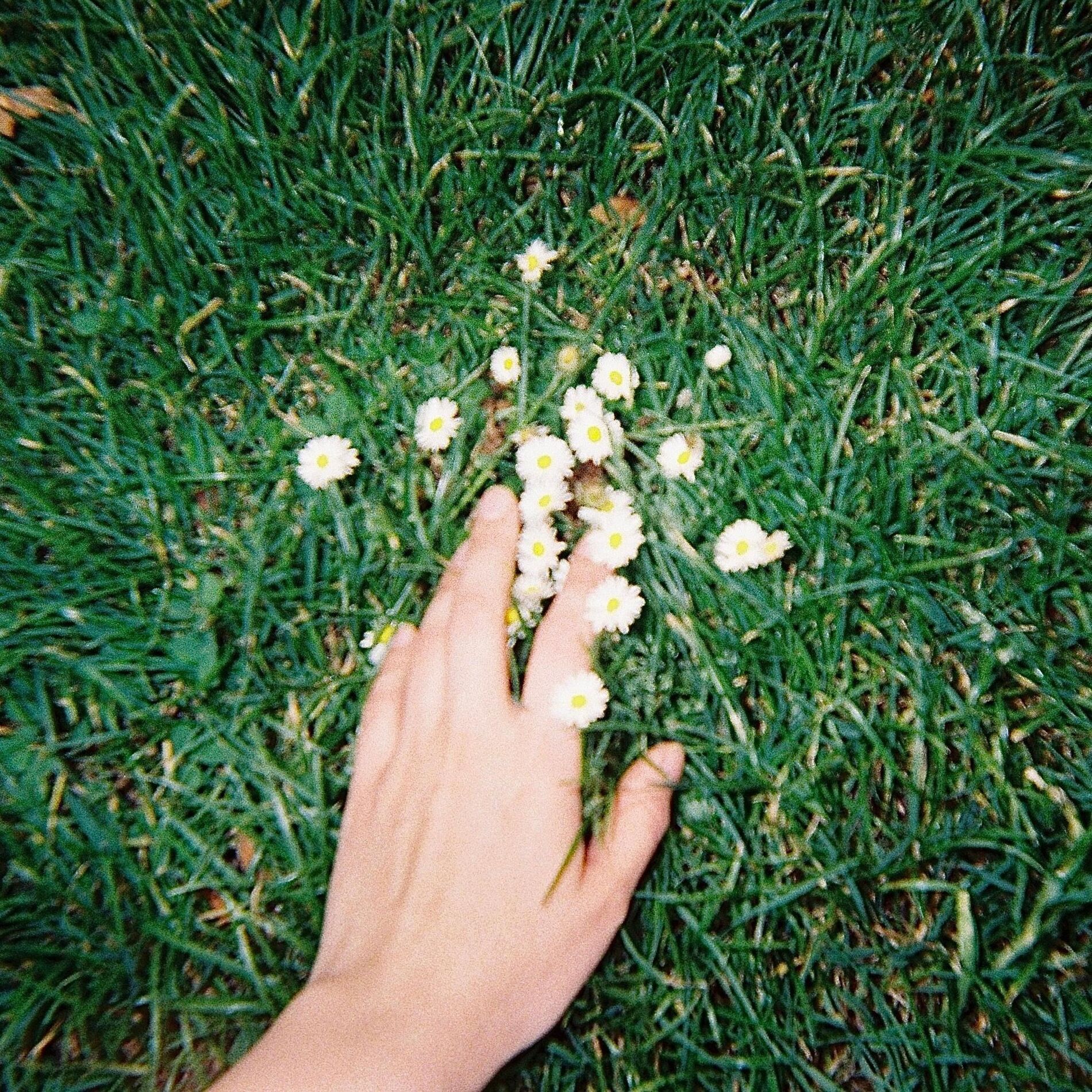Album cover of could you not go?