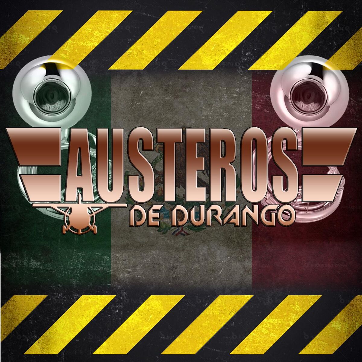 Album cover of Fiesta Privada (En Vivo)