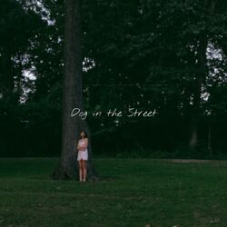 Cover of Dog in the Street