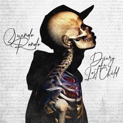 Cover of Diary of a Lost Child