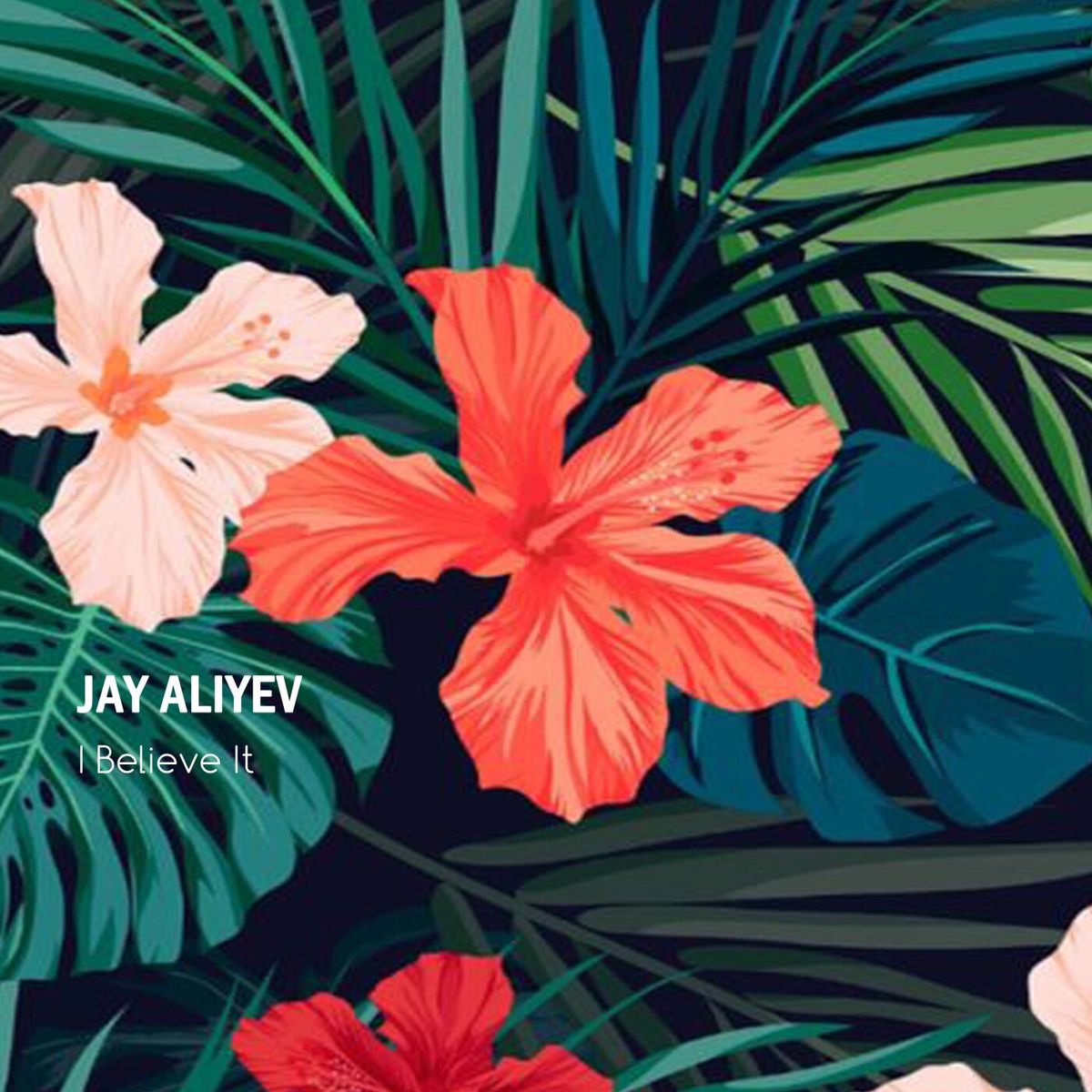 Album cover of I Believe It